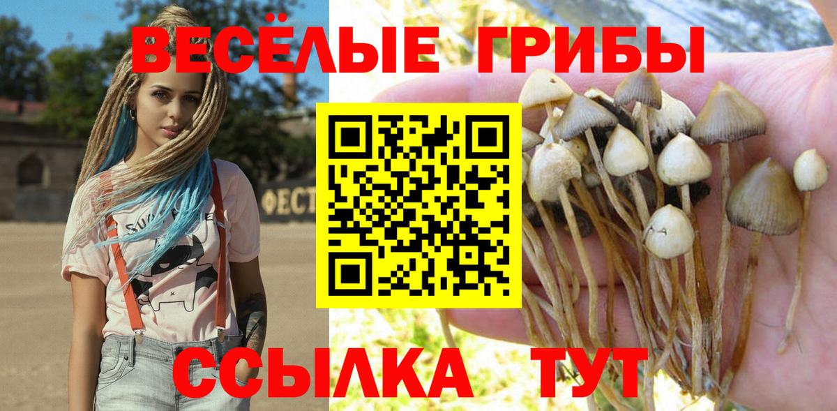 Галлюциногенные грибы MAGIC MUSHROOMS Благовещенск