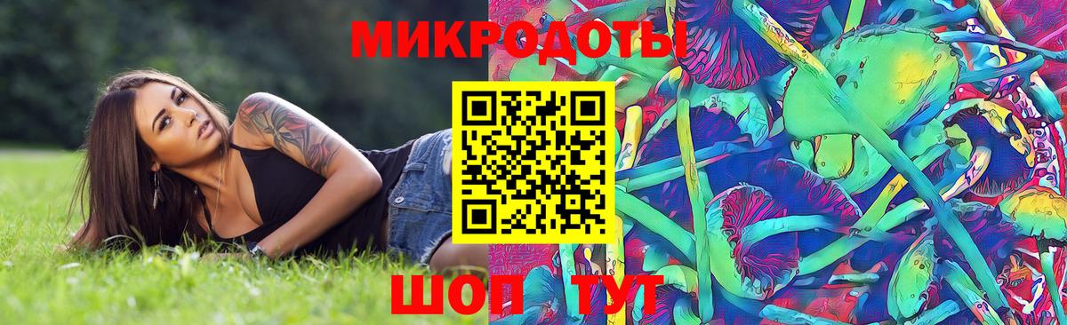 Псилоцибиновые грибы GOLDEN TEACHER  Вход с VPN  купить наркоту  Псилоцибиновые грибы мицелий  Благовещенск 